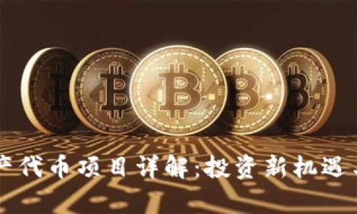 区块链资产代币项目详解：投资新机遇与风险分析
