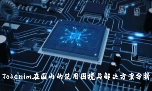 Tokenim在国内的使用困境与解决方案分析
