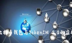 全面了解比特币钱包与TokenIM 2.0的应用与安全性