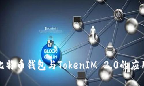 全面了解比特币钱包与TokenIM 2.0的应用与安全性