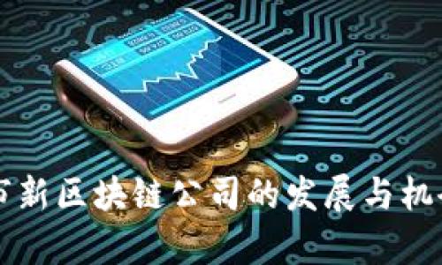 盘州市新区块链公司的发展与机会分析
