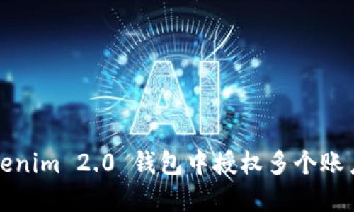 如何在Tokenim 2.0 钱包中授权多个账户进行管理