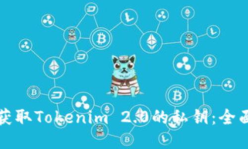 如何获取Tokenim 2.0的私钥：全面指南
