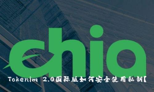 Tokenim 2.0国际版如何安全使用私钥？