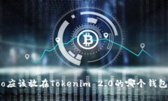 Algo应该放在Tokenim 2.0的哪个钱包中？
