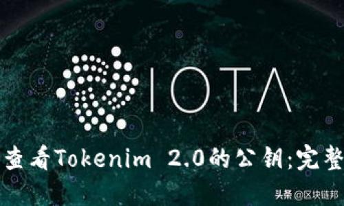 如何查看Tokenim 2.0的公钥：完整指南