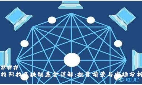 ###   
特斯拉区块链基金详解：投资前景与市场分析