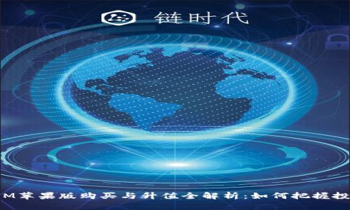 TokenIM苹果版购买与升值全解析：如何把握投资机会