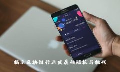 揭示区块链行业发展的短板与挑战