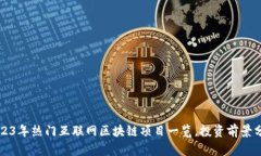 2023年热门互联网区块链项目一览，投资前景分析