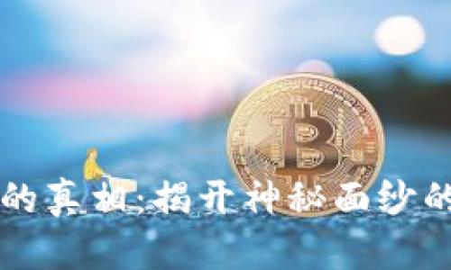 区块链中的真相：揭开神秘面纱的全面解析