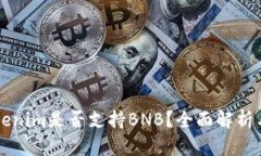 ### Tokenim是否支持BNB？全面解析与使用指南