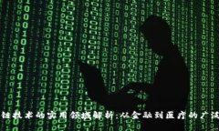 区块链技术的实用领域解析：从金融到医疗的广
