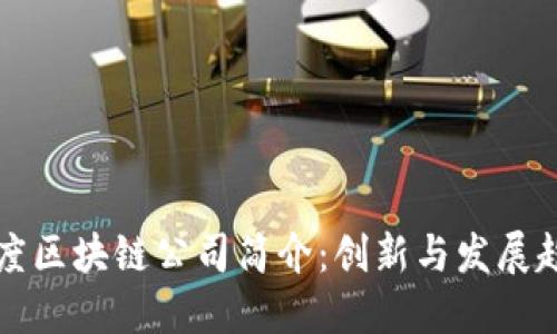 印度区块链公司简介：创新与发展趋势