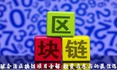 全球合法区块链项目全解：投资与参与的最佳选