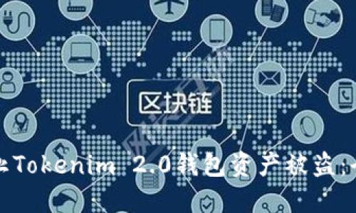 如何防止Tokenim 2.0钱包资产被盗：全面指南