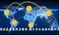 区块链公司烂尾原因深度解析：揭示行业面临的
