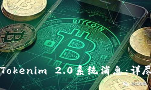 ### 如何恢复Tokenim 2.0系统消息：详尽指导与实用技巧