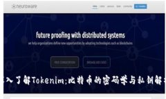 深入了解Tokenim：比特币的密码学与私钥解析