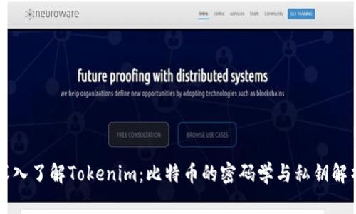 深入了解Tokenim：比特币的密码学与私钥解析