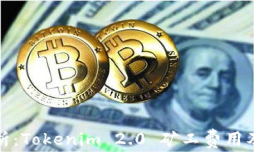 
深入解析：Tokenim 2.0 矿工费用及其影响