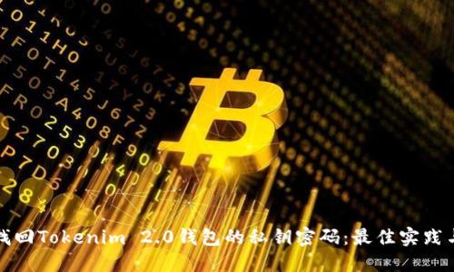 如何找回Tokenim 2.0钱包的私钥密码：最佳实践与技巧