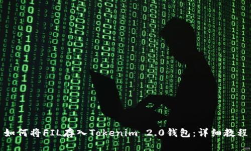 如何将FIL存入Tokenim 2.0钱包：详细教程