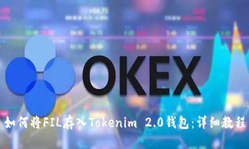 如何将FIL存入Tokenim 2.0钱包：详细教程
