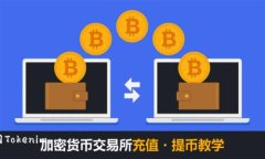   如何删除Tokenim上的交易记录？ /  guanjianci Toke