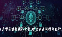 国内大学区块链团队介绍：探索未来科技的先锋