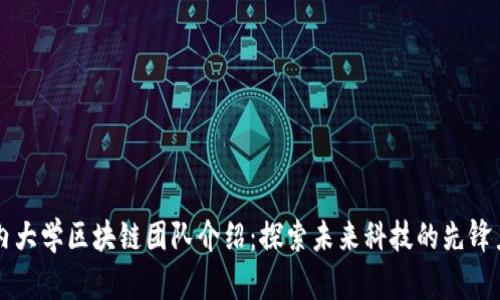 国内大学区块链团队介绍：探索未来科技的先锋力量