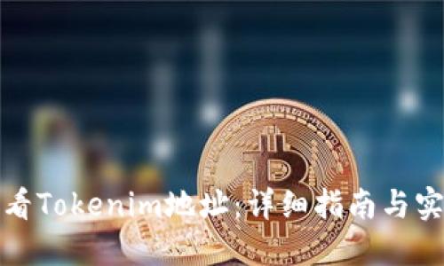 如何查看Tokenim地址：详细指南与实用技巧
