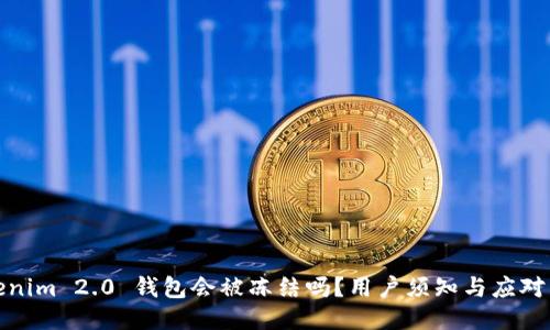 Tokenim 2.0 钱包会被冻结吗？用户须知与应对策略