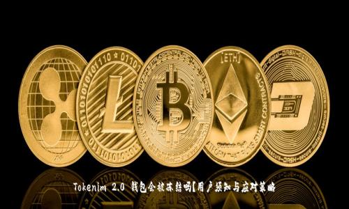 Tokenim 2.0 钱包会被冻结吗？用户须知与应对策略