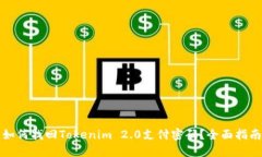 如何找回Tokenim 2.0支付密码？全面指南