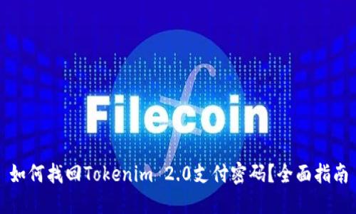 如何找回Tokenim 2.0支付密码？全面指南