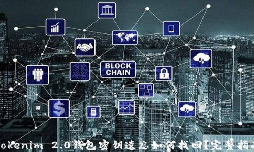 
Tokenim 2.0钱包密钥遗忘如何找回？完整指南