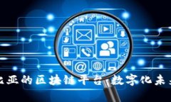 探索赞比亚的区块链平台：数字化未来的前沿