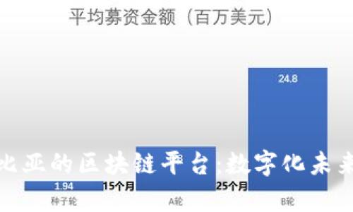 探索赞比亚的区块链平台：数字化未来的前沿