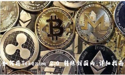 如何将Tokenim 2.0 转账到国内：详细指南