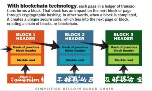 Tokenim转账不打包的原因及解决方案