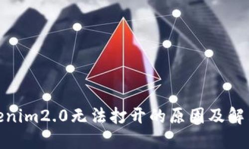 : tokenim2.0无法打开的原因及解决方案