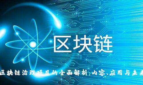 区块链治理项目的全面解析：内容、应用与未来
