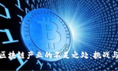 揭示区块链产业的不足之处：挑战与机遇