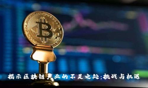 揭示区块链产业的不足之处：挑战与机遇