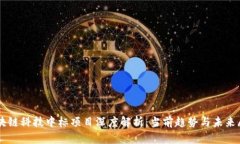 区块链科技中标项目深度解析：当前趋势与未来