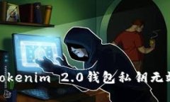 : 解决Tokenim 2.0钱包私钥无效的问题