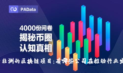 探索非洲的区块链项目：有哪些公司在推动行业发展？