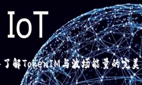 深入了解TokenIM与波场能量的完美结合