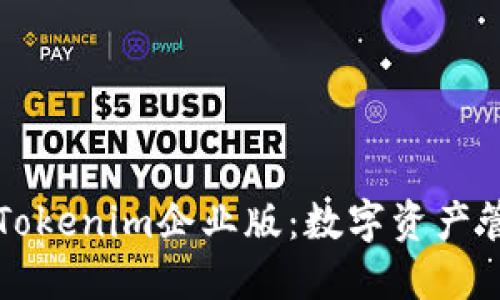 深入探索Tokenim企业版：数字资产管理的未来